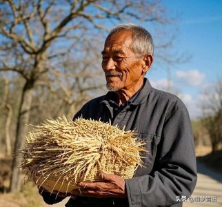 ​交过公粮的农村老人，70岁后每月到底能拿多少钱？算笔明白账！