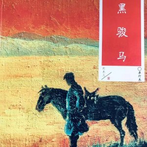 ​解码张承志《黑骏马》的神秘魅力