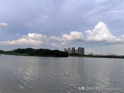 ​白云湖公园。