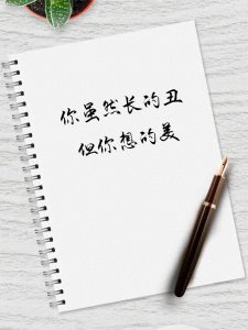 ​【笑翻全场】30句俏皮话，让你的幽默感瞬间爆棚！