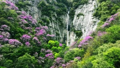 ​假期好去处｜秦岭12处自然旅游景区