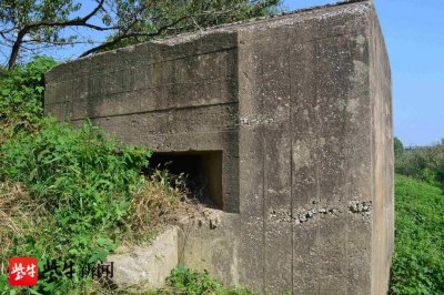 ​南京秦淮新河河堤下藏南京保卫战碉堡，专家呼吁尽快保护