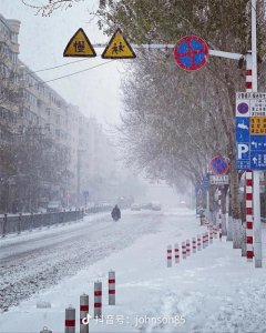 ​东北大雪：挑战与希望并存的白茫世界
