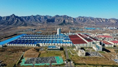 ​石钢：以“退”为进 绿色蝶变