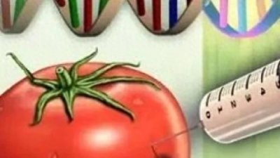 ​#转基因食品对我们身体健康的危害#科学界要研究解决的课题#