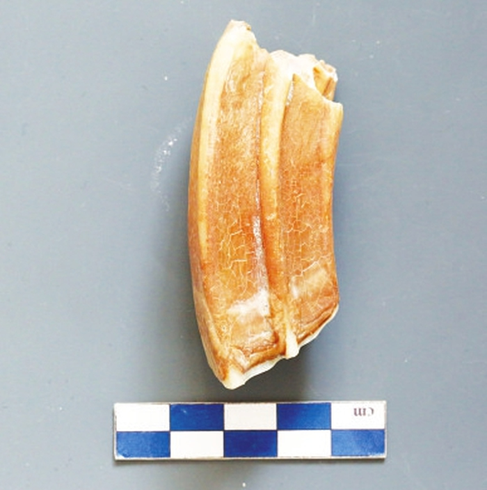 专家称山西大同李汪涧旧石器时代遗址是现代人类起源的重要节点