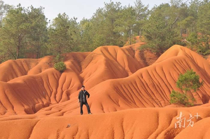 广东田野考古有多牛?听资深专家刘锁强揭秘考古故事