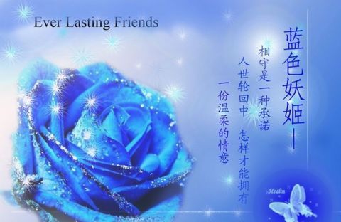 十一朵蓝色妖姬的花语是什么意思