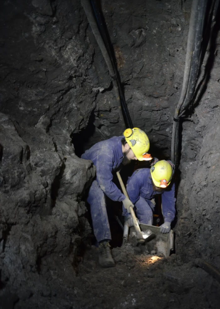 铁器时代排泄物研究表明:2700年前人类就开始食用蓝纹奶酪和啤酒