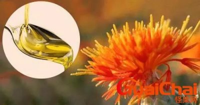 ​红花籽油的功效与作用及食用方法？红花籽油的功效与作用及禁忌