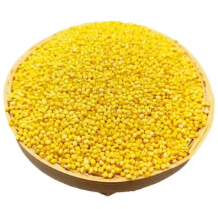 ​大黄米是一种粗粮 它的营养价值是什么