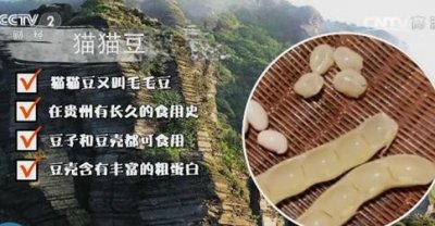 ​狗爪豆，一种形似狗爪的蔬菜，来自梵净山的味道