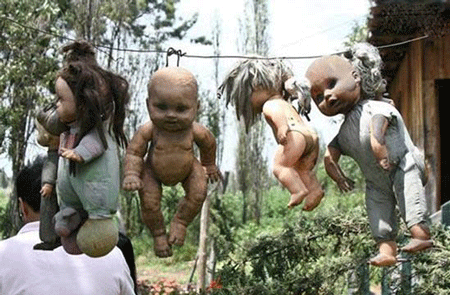 娃娃岛怎么回事?为何会有这么多的鬼娃娃遍布于岛上?