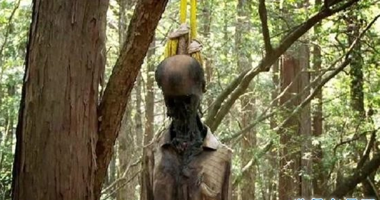 邪门!!日本自杀森林,走进自杀森林后指南针马上失灵,严重的压抑感让人感到绝望