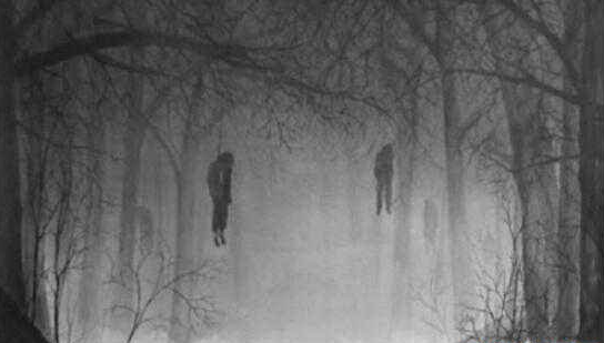 邪门!!日本自杀森林,走进自杀森林后指南针马上失灵,严重的压抑感让人感到绝望