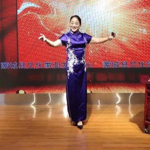 ​河南坠子艺术家陈艳丽