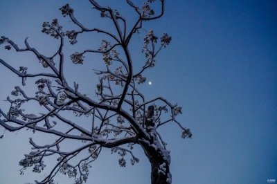 ​烟台绝美雪景大片来了，爱了！爱了