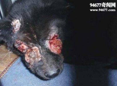 ​教你开天眼的七种方法，可见鬼神（别尝试）