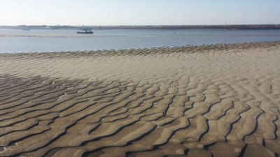 ​江南鸭栏：沙洲美景惹人醉