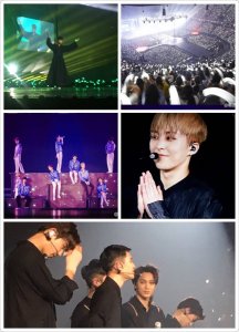 ​EXO泰演唱会圆满成功力证高人气 张艺兴太撩太炸让人词穷