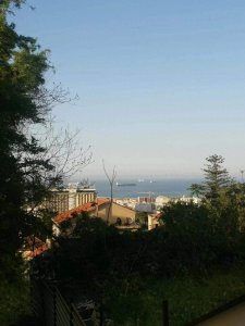 ​阿尔及利亚可以这样美