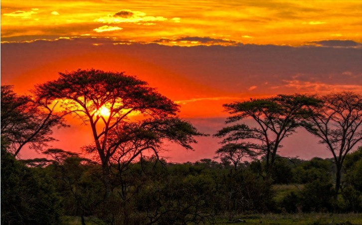 非洲大草原上无尽的狂野之美——塞伦盖蒂