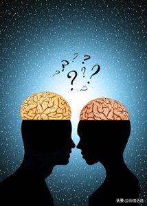 ​28杂谈534：两个法律人的不同姿态，何专家与周律师之对比