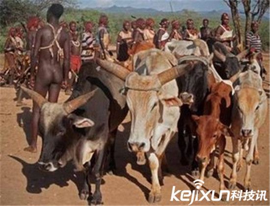 世界各地惊人风俗大揭秘:给女人食男精