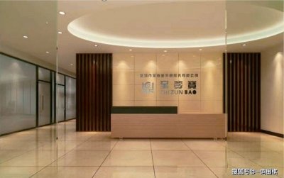 ​中国融资担保行业公司排名