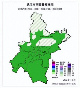 ​武汉下雪了！积雪有1厘米厚！武汉市近期天气预报速看
