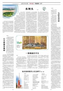 ​心头那棵苦楝树