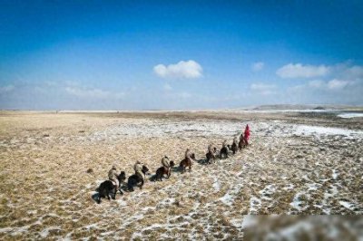 ​坚守！火箭军某部骑兵连官兵巡逻在雪域高原