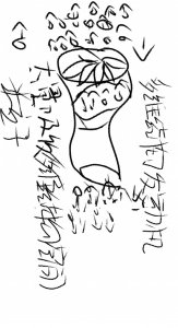 ​各类型四维结构等离子推进发动机