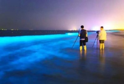 ​“荧光海”美爆秦皇岛人朋友圈