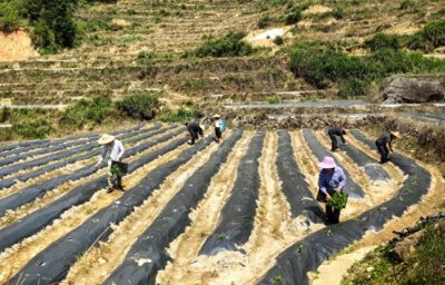 ​泰宁：景美业兴活力足 村强民富生活美