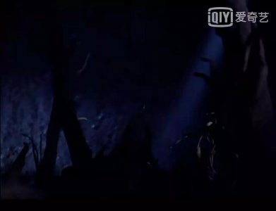 ​齐杰拉继续散播花粉，人类能否战胜命运呢？