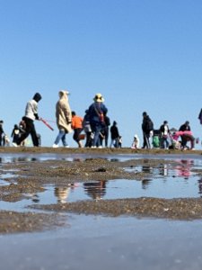 ​海南长沙村冲篱遗址旅游赶海攻略