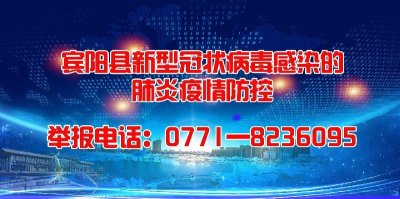 ​关于暂停宾阳县政务服务中心窗口服务的通告
