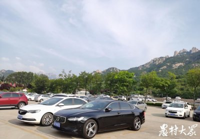 ​山美水美还免票！崂山北九水体验记