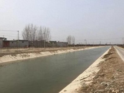 ​“猴哥”的来历