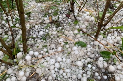 ​青海门源出现冰雹天气