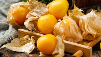 ​洋姑娘的营养价值与功效