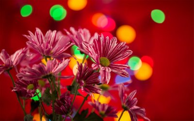 ​失落城堡一周目boss打法（失落城堡奸商从良打法攻略）