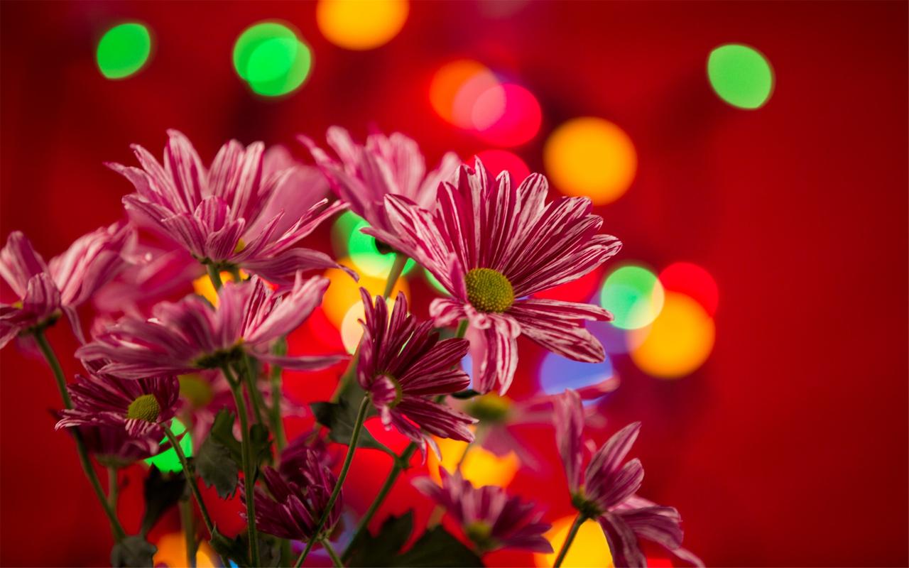 失落城堡一周目boss打法(失落城堡奸商从良打法攻略)