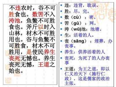 ​数罟不入洿池的数怎么解释（数罟不入洿池的数含义）