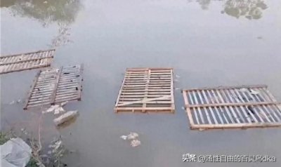 ​竹笼沉尸，水塘成恐怖现场？真相令人咋舌！