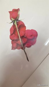 ​过了30岁还不结婚的男孩，有3种原因