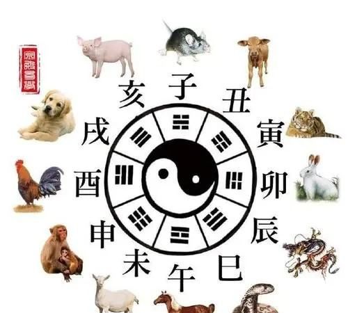 书香世家是什么生肖,书香世家打个生肖图3