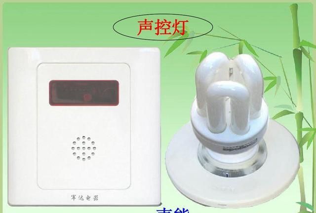 声控是什么意思