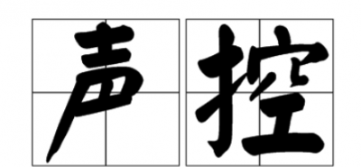 ​声控是什么意思,声控是什么意思